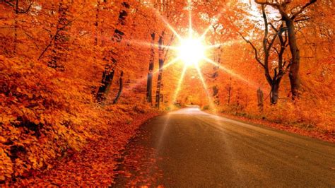 Fall Wallpapers Sunshine Hd Desktop Wallpapers 4k Hd