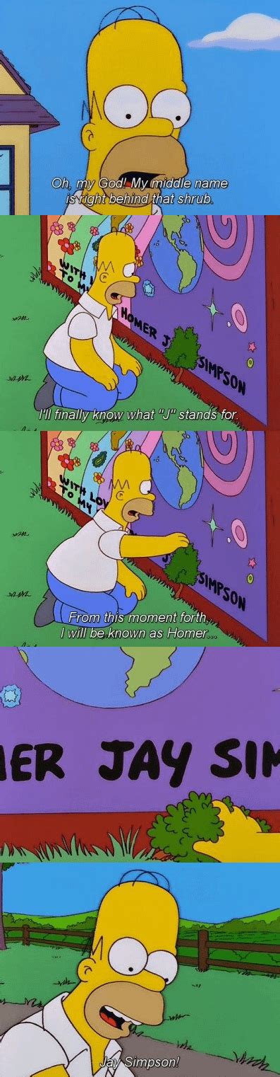 Homer J Simpson Rthesimpsons