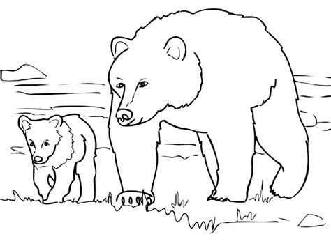 Bear Coloring Pages Kids Smart