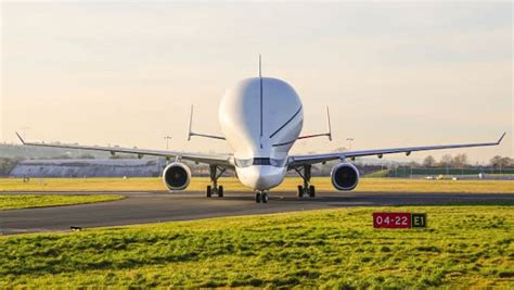 Entra En Servicio El Airbus Beluga Xl Conocido Como La Ballena Voladora Cnn