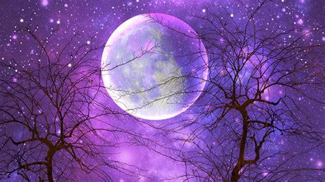 top more than 63 romantic full moon wallpaper latest in cdgdbentre
