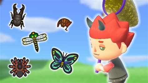 Catching Every Bug In The Animal Crossing Series Youtube