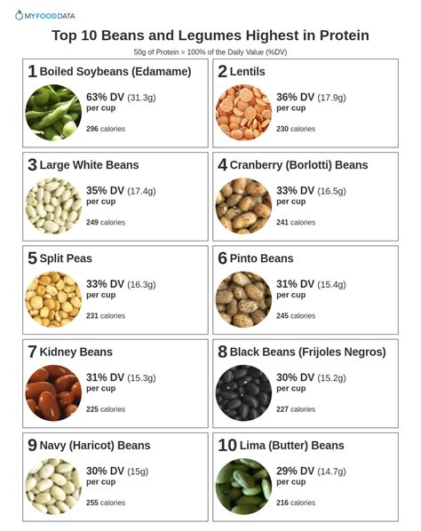 Top Beans And Legumes Highest In Protein Protein In Beans Protein