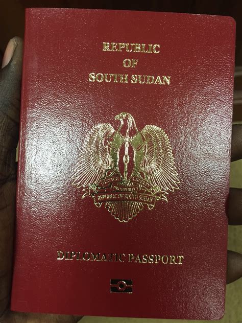 Illegal Diplomatic Passports Issuance Irks Minister One Citizen Daily
