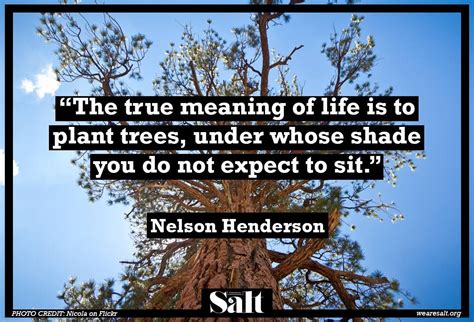 Quote From Nelson Henderson True Meaning Of Life Meaning Of Life Life