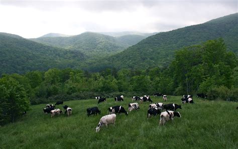 Mountain Valley Farm And Store Official Georgia Tourism And Travel