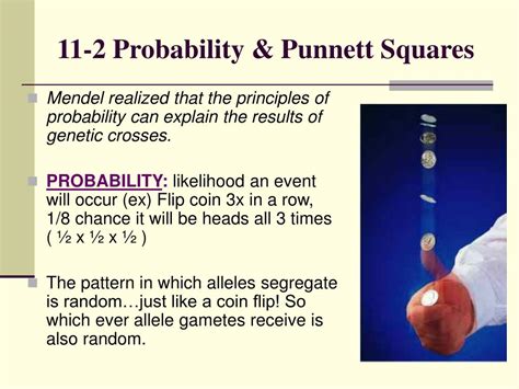 In other words, it can tell you if you will or will not. PPT - Chapter 11 Introduction to Genetics PowerPoint ...