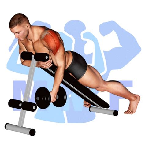 Incline Dumbbell Single Arm Rear Lateral Raise Your How To Guide