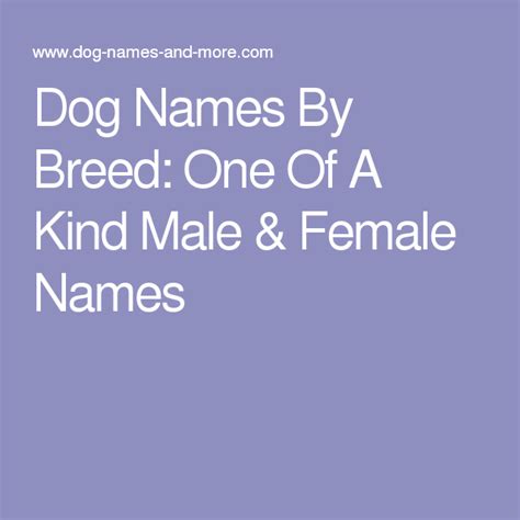 Dog Names By Breed One Of A Kind Male And Female Names Dog Names