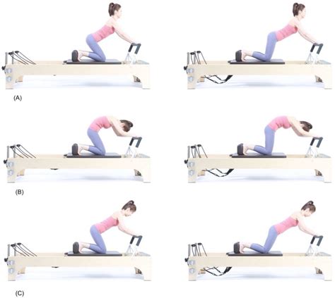 Core Stability Muscles