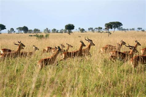 The Rainy Season In Kenya Detailed Guide For Tourists