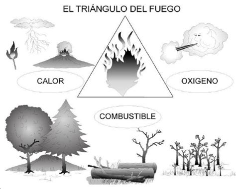 El Triángulo Del Fuego Tomado De Conafor 2010 B Download Scientific Diagram