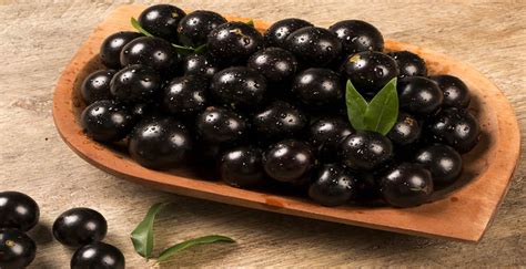 Sonhar Com Jabuticaba Qual A Simbologia Dessa Fruta