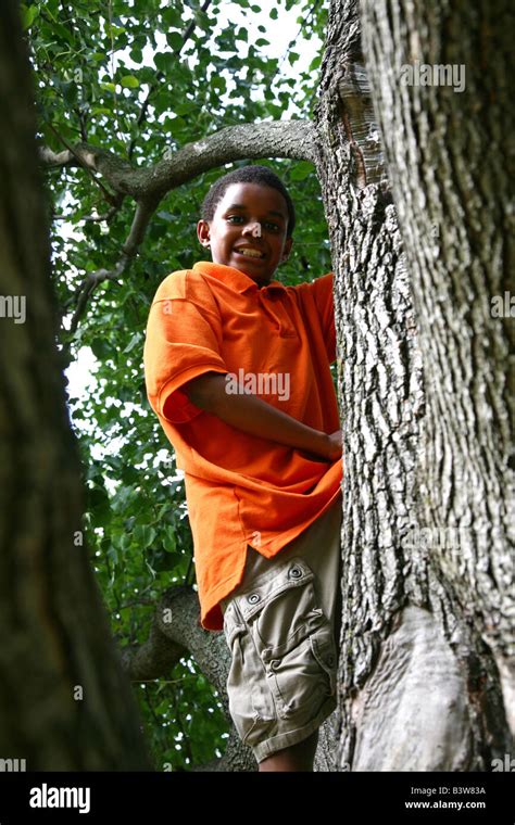 Smiling African American Boy Climbing A Tree Stock Photo Alamy