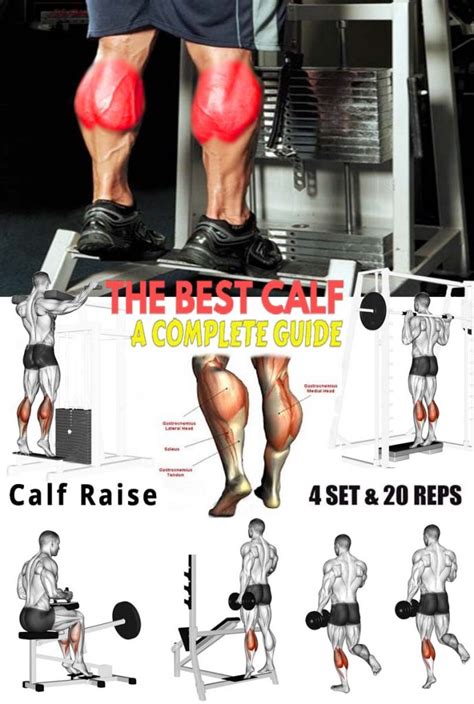 Calf Raise Variations Types Benefits And Guide Exercises