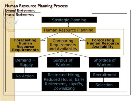 ️ Steps Involved In Human Resource Planning Process What Is Human