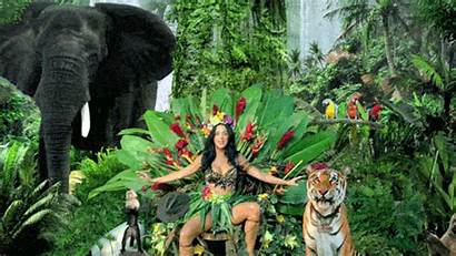 Katy Perry Roar Gifs Filled Animal Animals