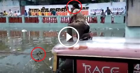 video people of chennai pulled out submerged bus from flooded subway