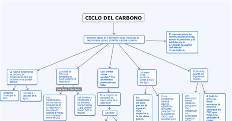 Mapa Conceptual Ciclo Del Carbono