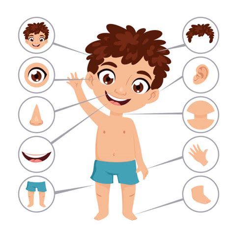 Boys Body Parts Illustrations Royalty Free Vector Graphics And Clip Art