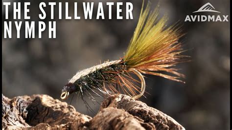 How To Tie The Stillwater Nymph Avidmax Fly Tying Tuesday Tutorials