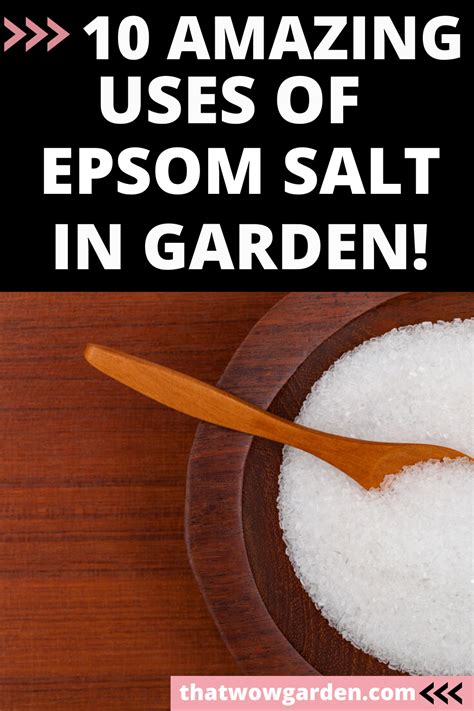 10 Proven Uses Of Epsom Salt In The Garden Thatwowgarden Epsom Salt Uses Epsom Salt Salt