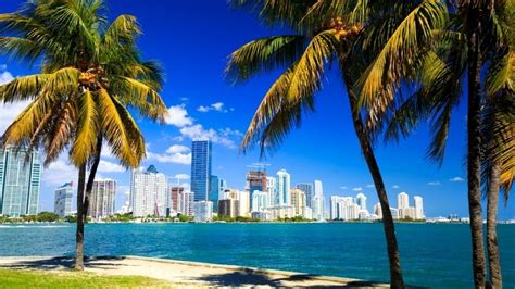 Viajar A Miami Una De Las Ciudades Más Turisticas De Florida