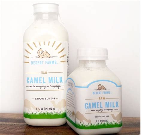 Camel milk can be made into yogurt and, with difficulty, butter, but that's about it. How a Saudi dairy farmer brought camel milk to the US ...