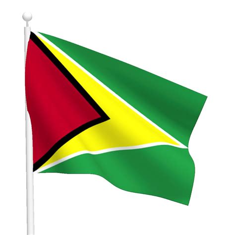 National Flag Of Guyana Rankflags Com Collection Of F Vrogue Co