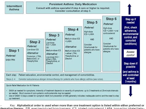 Asthma Management Guidelines Chart