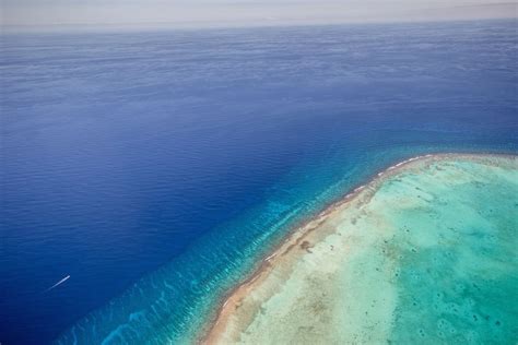A scenic flight over the Great Blue Hole in Belize | Great blue hole, Blue hole, Blue hole belize