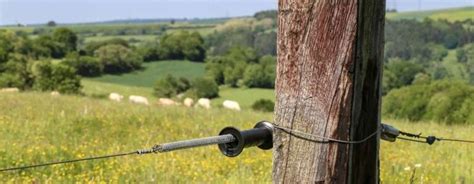 Grounding Rods For Electric Fences The Ultimate Guide Backyard Virtuoso