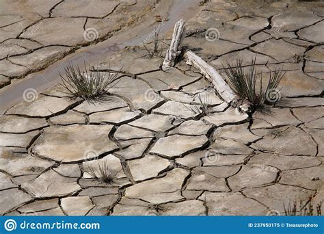 Barren Cracked Earth In Drought Stock Image Image Of Surface Nature