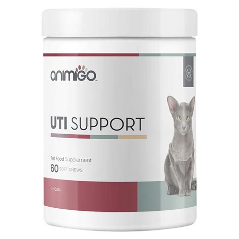 Treatment, symptoms + home prevention. UTI Support for Cats | For Urinary Care | Comfort Click