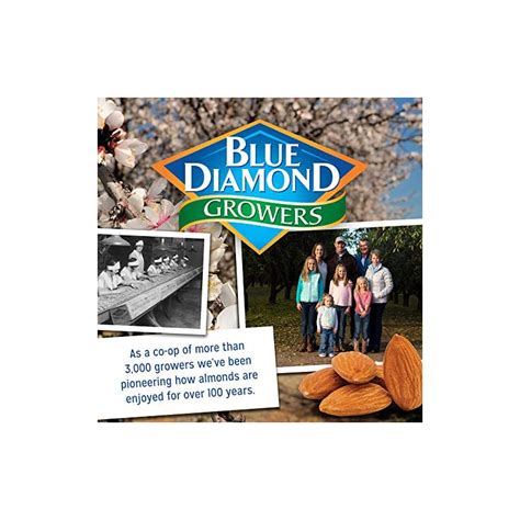 Blue Diamond Almonds Blue Diamond Almond Flour Gluten Free Blanched