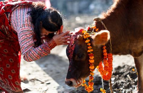 Tihar Festival Begins Himalayan Country