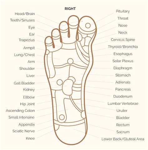 chinese spa what to expect oriental foot reflexology