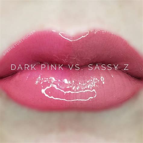 LipSense Distributor 228660 Perpetualpucker Dark Pink Vs Sassy Z