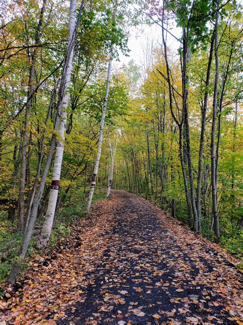 Midatlantic Daytrips Rosendale Trestle And Wallkill Valley Rail Trail