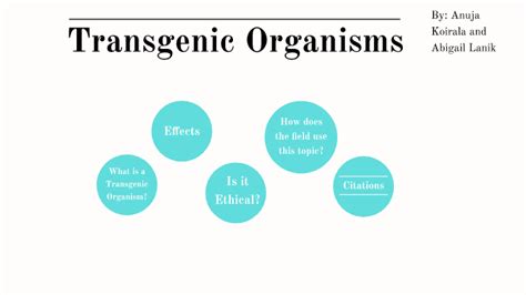 Genetic engineering can be used to manufacture new vaccines. Transgenic Organisms by Anajayana Gilmore on Prezi Next