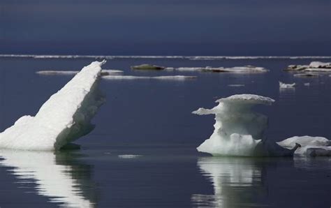 Why Arctic Sea Ice Has Stalled And What It Means For The Rest Of The
