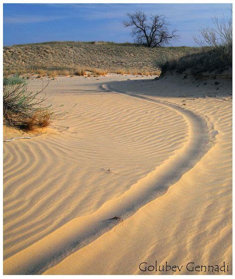 Олешківські піски природне диво України та найбільша пустеля Європи