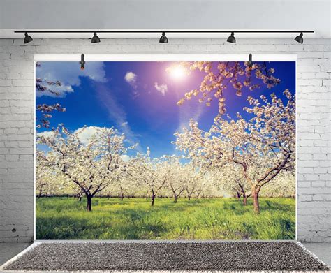 Leyiyi 10x65ft Photography Background Cherry Blossom Backdrop Spring