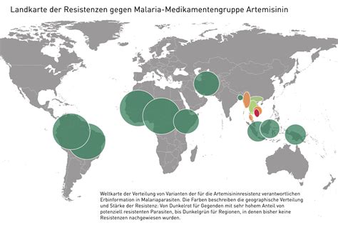 Landkarte Der Resistenzen Gegen Malaria Medikamentengruppe Artemisinin