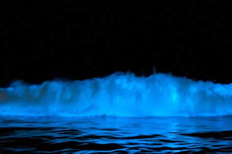 Californias Bizarre Glowing Waves Need To Be Seen To Be Believed