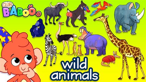 Learn Wild Animals For Kids Wild Zoo Animals Names And Sounds For