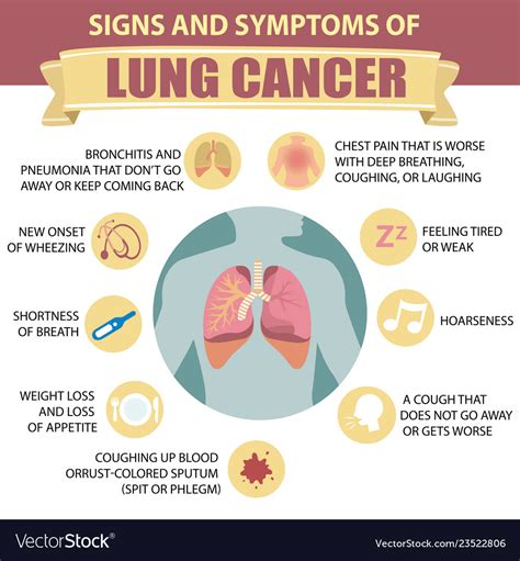 Signs And Symptoms Lung Cancer Detailed Royalty Free Vector