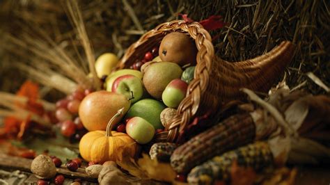 Cornucopia Wallpapers Top Free Cornucopia Backgrounds Wallpaperaccess