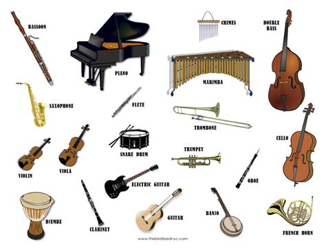 Music Musical Instruments And Their Names
