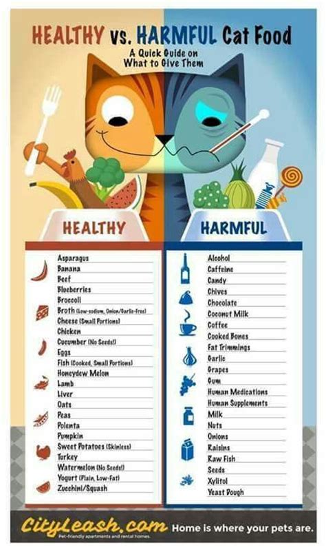 Certain nutrients, including many vitamins and amino acids, are degraded by the temperatures. Important info regarding what kitties can't eat | Kitten ...